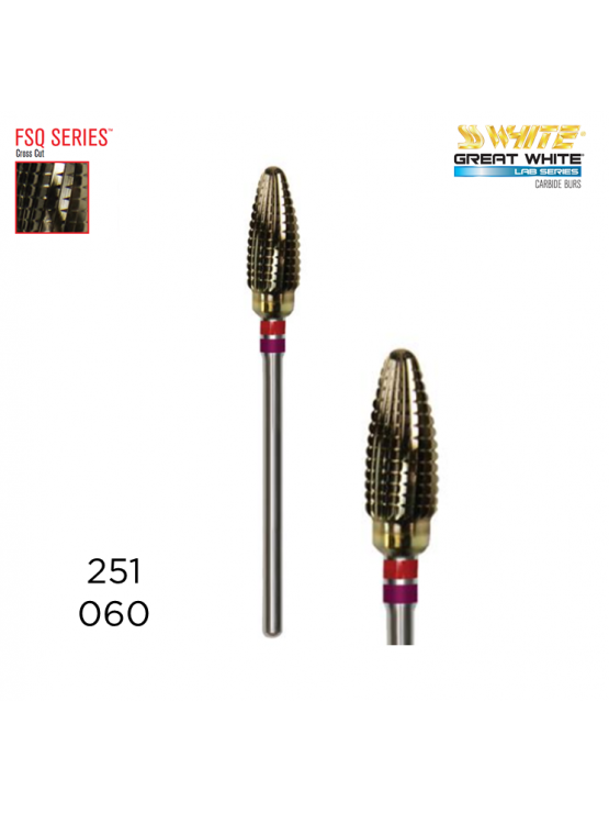 Broca Dentária GW Lab Series FSQ 251-060