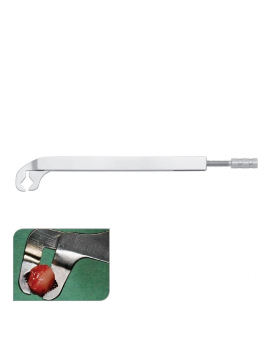 Forceps anelar para osso, Palti