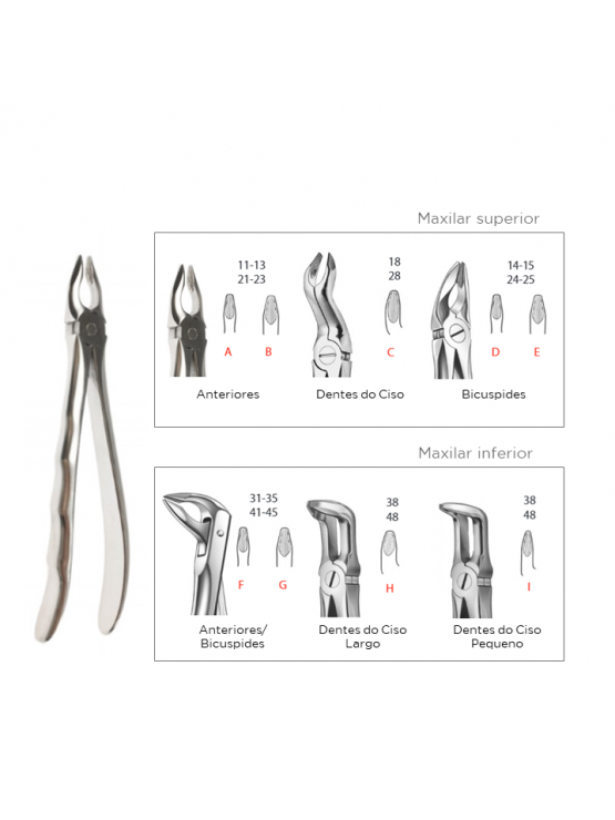 Forceps de Extração de alcance profundo