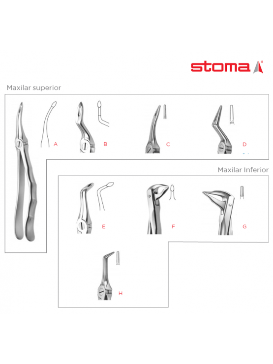 Forceps de Extração de raízes fifo-grip
