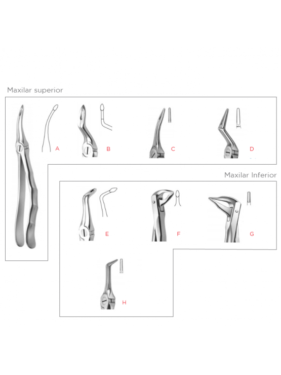 Forceps de Extração de raízes fifo-grip