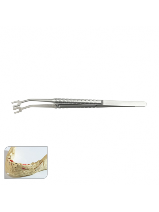 Forceps para excertos ósseos
